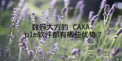 数码大方的 CAXA plm软件都有哪些优势？