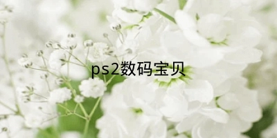 ps2数码宝贝