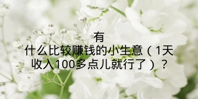 有什么比较赚钱的小生意（1天收入100多点儿就行了）？