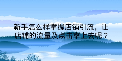 新手怎么样掌握店铺引流，让店铺的流量及点击率上去呢？