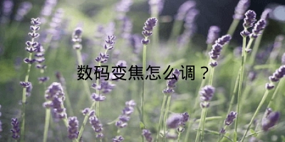 数码变焦怎么调？