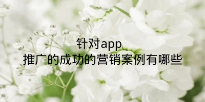 针对app 推广的成功的营销案例有哪些