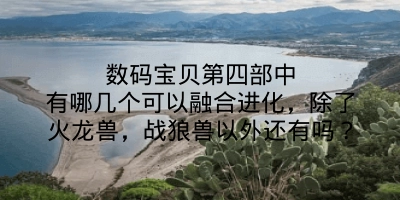 数码宝贝第四部中有哪几个可以融合进化，除了火龙兽，战狼兽以外还有吗？