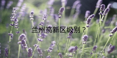 兰州高新区级别？