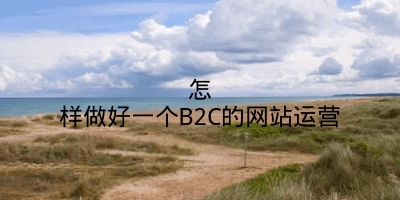 怎样做好一个B2C的网站运营