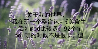 关于我的世界， 我在玩一个整合包-《美食生活》mod比较多。92个mod 玩的时候不是很卡，但