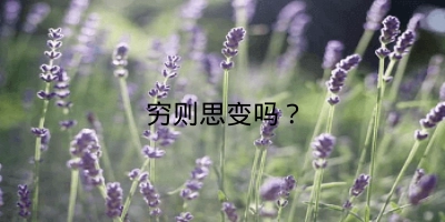 穷则思变吗？