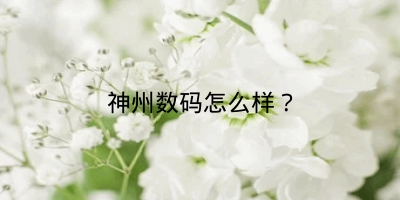 神州数码怎么样？