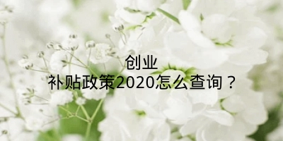 创业补贴政策2020怎么查询？