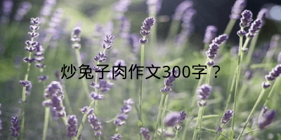 炒兔子肉作文300字？