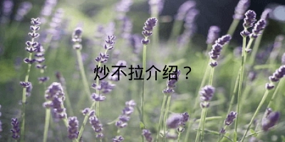 炒不拉介绍？