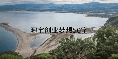 淘宝创业梦想50字