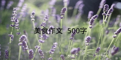 美食作文 500字