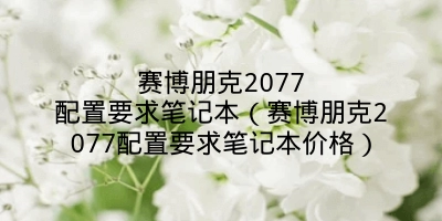 赛博朋克2077配置要求笔记本（赛博朋克2077配置要求笔记本价格）