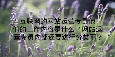 互联网的网站运营专员他们的工作内容是什么？网站运营专员内部还要进行分类不？