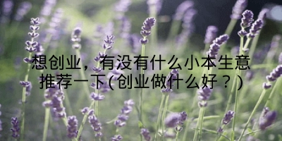 想创业，有没有什么小本生意推荐一下(创业做什么好？)