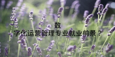 数字化运营管理专业就业前景？