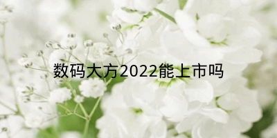 数码大方2022能上市吗