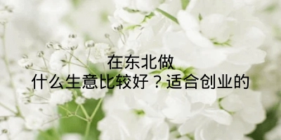 在东北做什么生意比较好？适合创业的