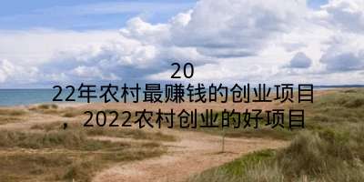 2022年农村最赚钱的创业项目，2022农村创业的好项目