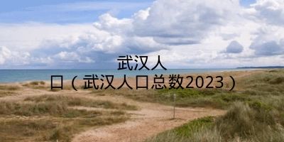 武汉人口（武汉人口总数2023）