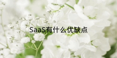 SaaS有什么优缺点