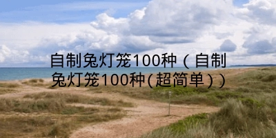 自制兔灯笼100种（自制兔灯笼100种(超简单)）