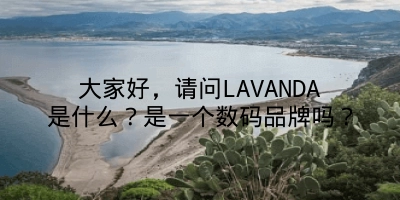 大家好，请问LAVANDA是什么？是一个数码品牌吗？