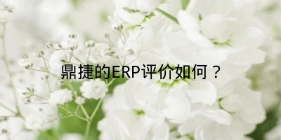 鼎捷的ERP评价如何？