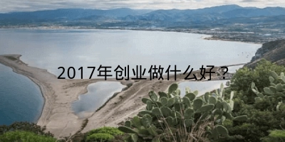 2017年创业做什么好？