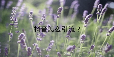 抖音怎么引流？