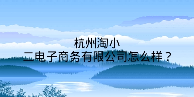 杭州淘小二电子商务有限公司怎么样？