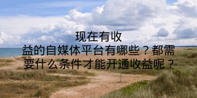 现在有收益的自媒体平台有哪些？都需要什么条件才能开通收益呢？