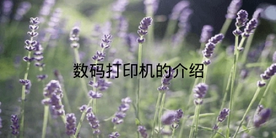 数码打印机的介绍