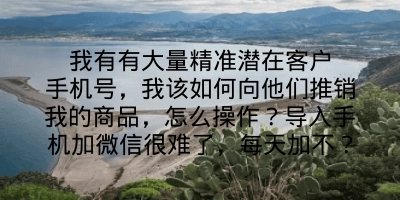 我有有大量精准潜在客户手机号，我该如何向他们推销我的商品，怎么操作？导入手机加微信很难了，每天加不？