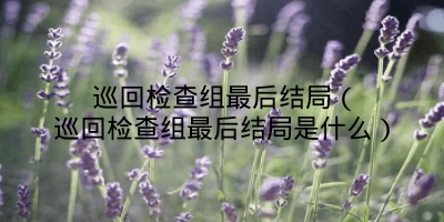 巡回检查组最后结局（巡回检查组最后结局是什么）