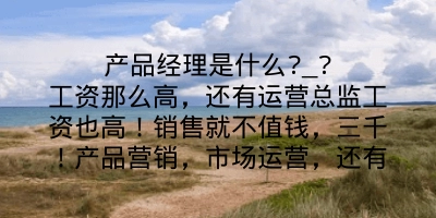 产品经理是什么?_?工资那么高，还有运营总监工资也高！销售就不值钱，三千！产品营销，市场运营，还有