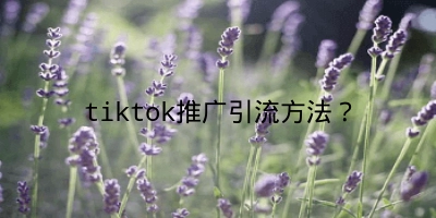 tiktok推广引流方法？