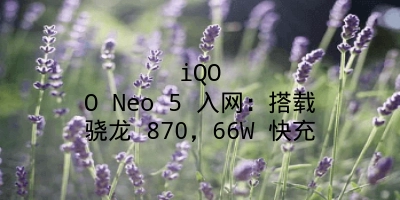 iQOO Neo 5 入网：搭载骁龙 870，66W 快充