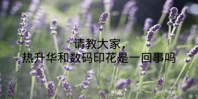 请教大家，热升华和数码印花是一回事吗