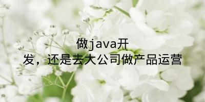 做java开发，还是去大公司做产品运营