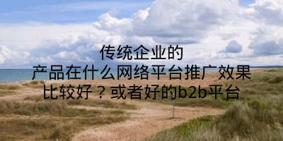 传统企业的产品在什么网络平台推广效果比较好？或者好的b2b平台