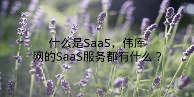 什么是SaaS，伟库网的SaaS服务都有什么？