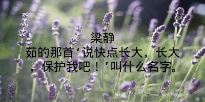 梁静茹的那首‘说快点长大，长大，保护我吧！’叫什么名字。