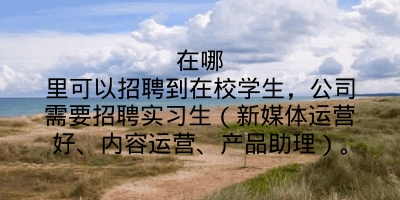 在哪里可以招聘到在校学生，公司需要招聘实习生（新媒体运营好、内容运营、产品助理）。