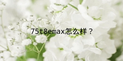 75t8emax怎么样？