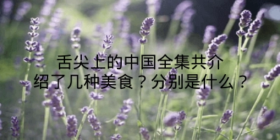 舌尖上的中国全集共介绍了几种美食？分别是什么？