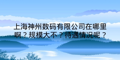 上海神州数码有限公司在哪里啊？规模大不？待遇情况呢？