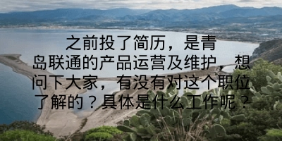 之前投了简历，是青岛联通的产品运营及维护，想问下大家，有没有对这个职位了解的？具体是什么工作呢？