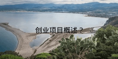 创业项目概述？